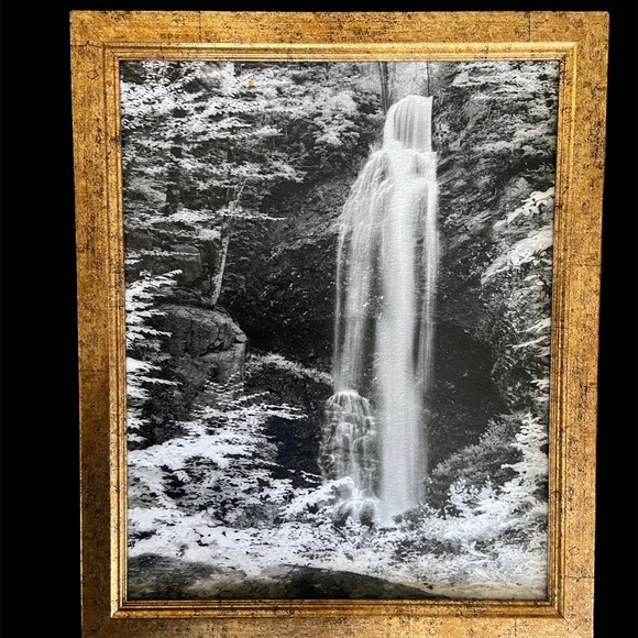 Painted Picture 🖼 - Picture 3 of 9